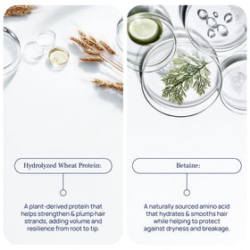 Close-up lather of PUREANCE Hydralift highlighting lightweight foaming benefit