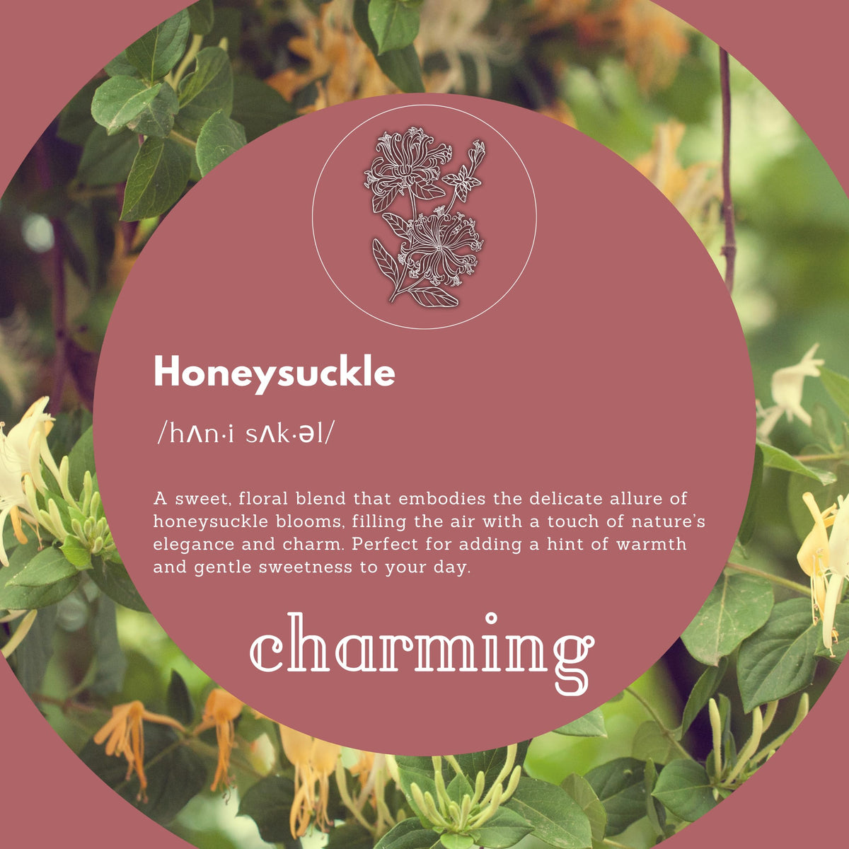 Puremax honeysuckle label close-up highlighting ingredients and eco credentials