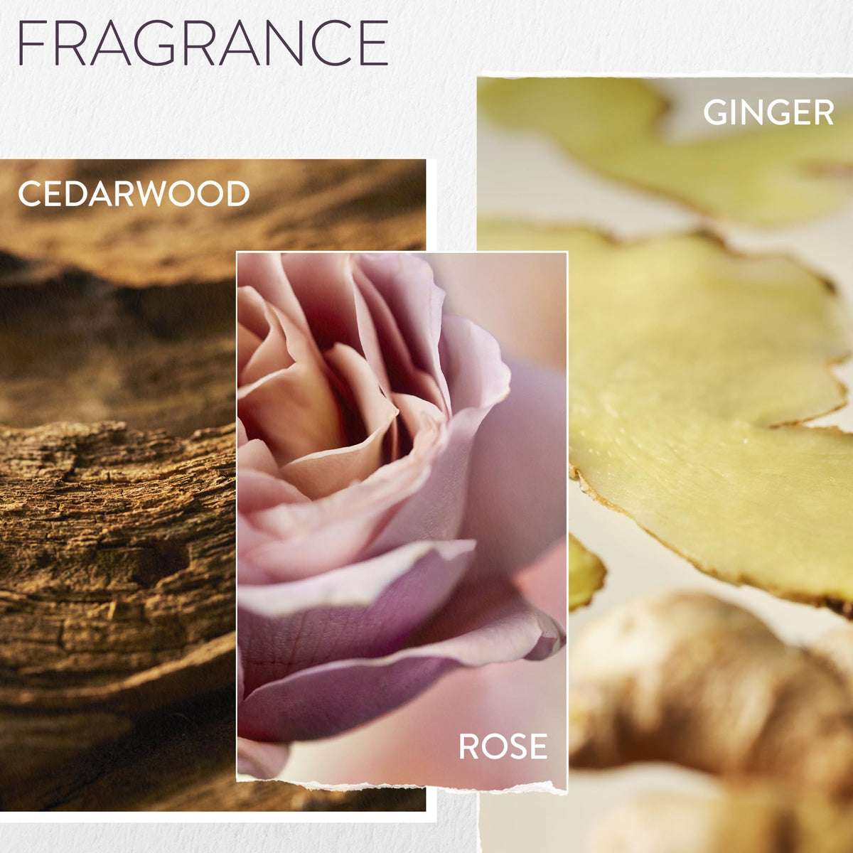 Pureology ingredient label closeup highlighting vegan formulation