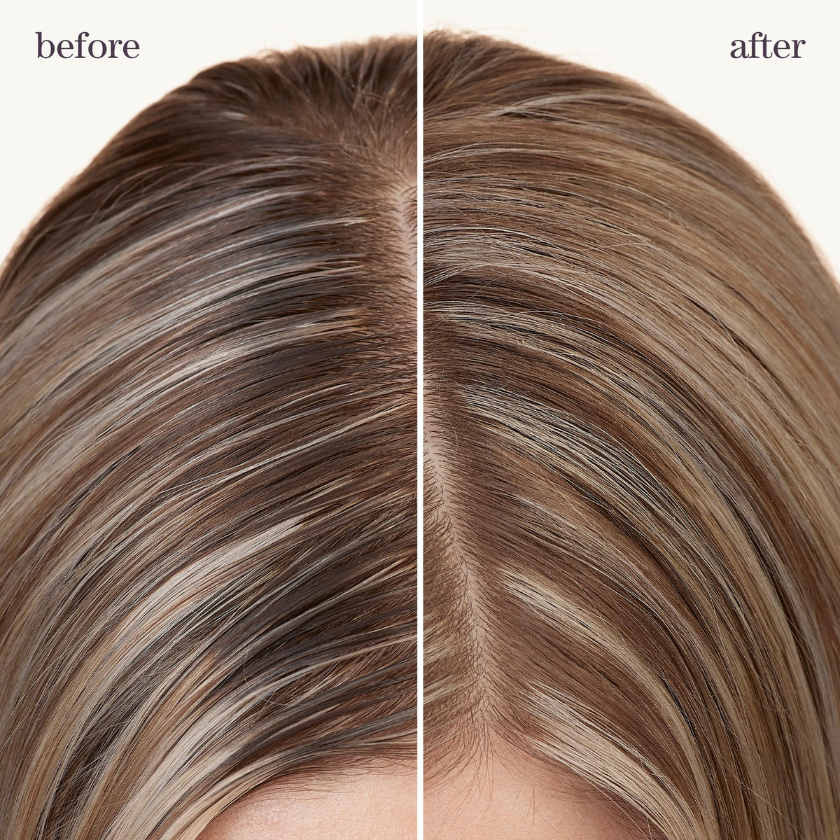 Pureology rice starch close-up highlighting oil-absorbing texture and lift
