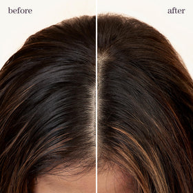 Pureology applied at roots on model adding volume and visible freshness