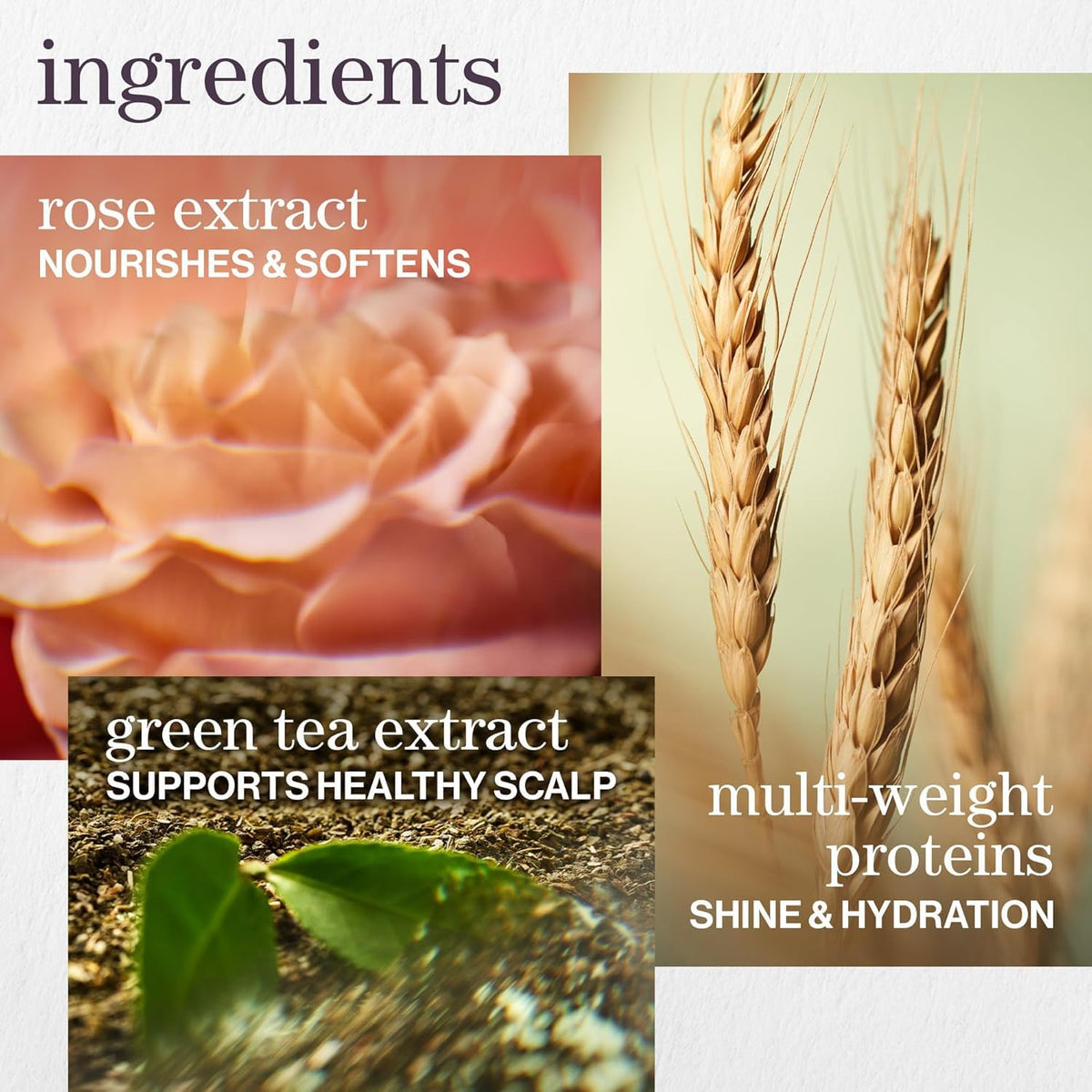 Pureology rose extract ingredient emphasizing softness benefit