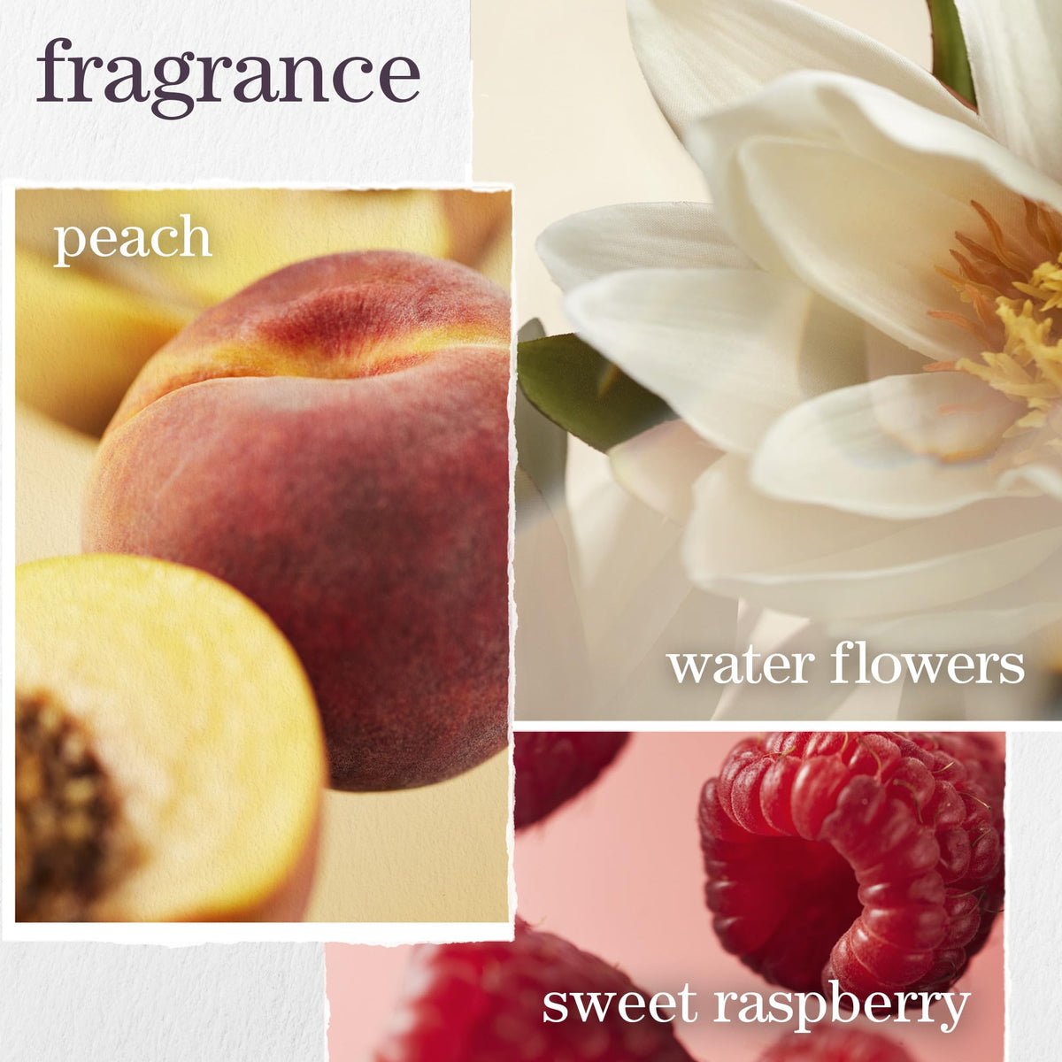Pureology Strength Cure ingredients label close-up emphasizing sulfate-free vegan benefit