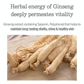 Pyunkang Yul shea butter visual emphasizing deep moisture protection