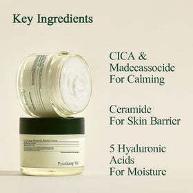 Pyunkang Yul cream on hand indicating recommended amount and easy spreadability