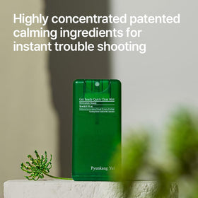 Pyunkang Yul mist spray action demonstrating quick cooling and soothing effect