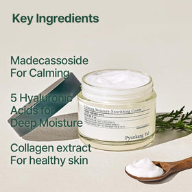 Pyunkang Yul side profile 50ml showing compact, travel-friendly moisturizer packaging