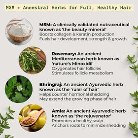 Qhemet Biologics herbs close-up highlighting bhringraj and botanical support