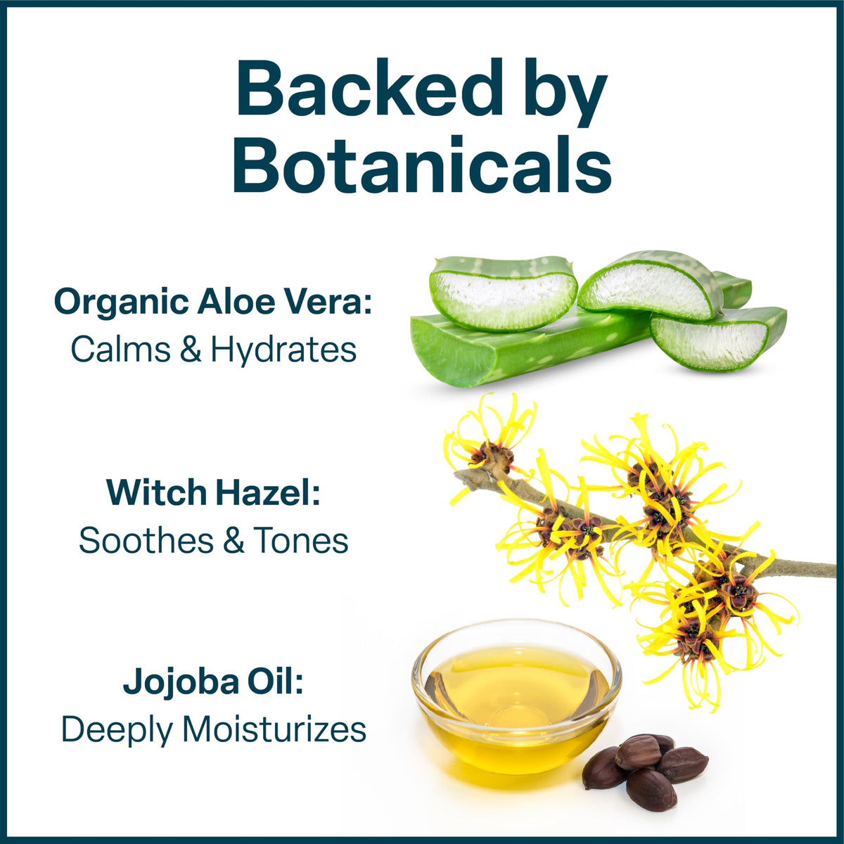QRxLabs label and ingredients list close view to confirm formulation transparency and safety