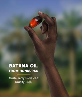 Qytin Batana applied to scalp during massage promoting circulation and even product distribution