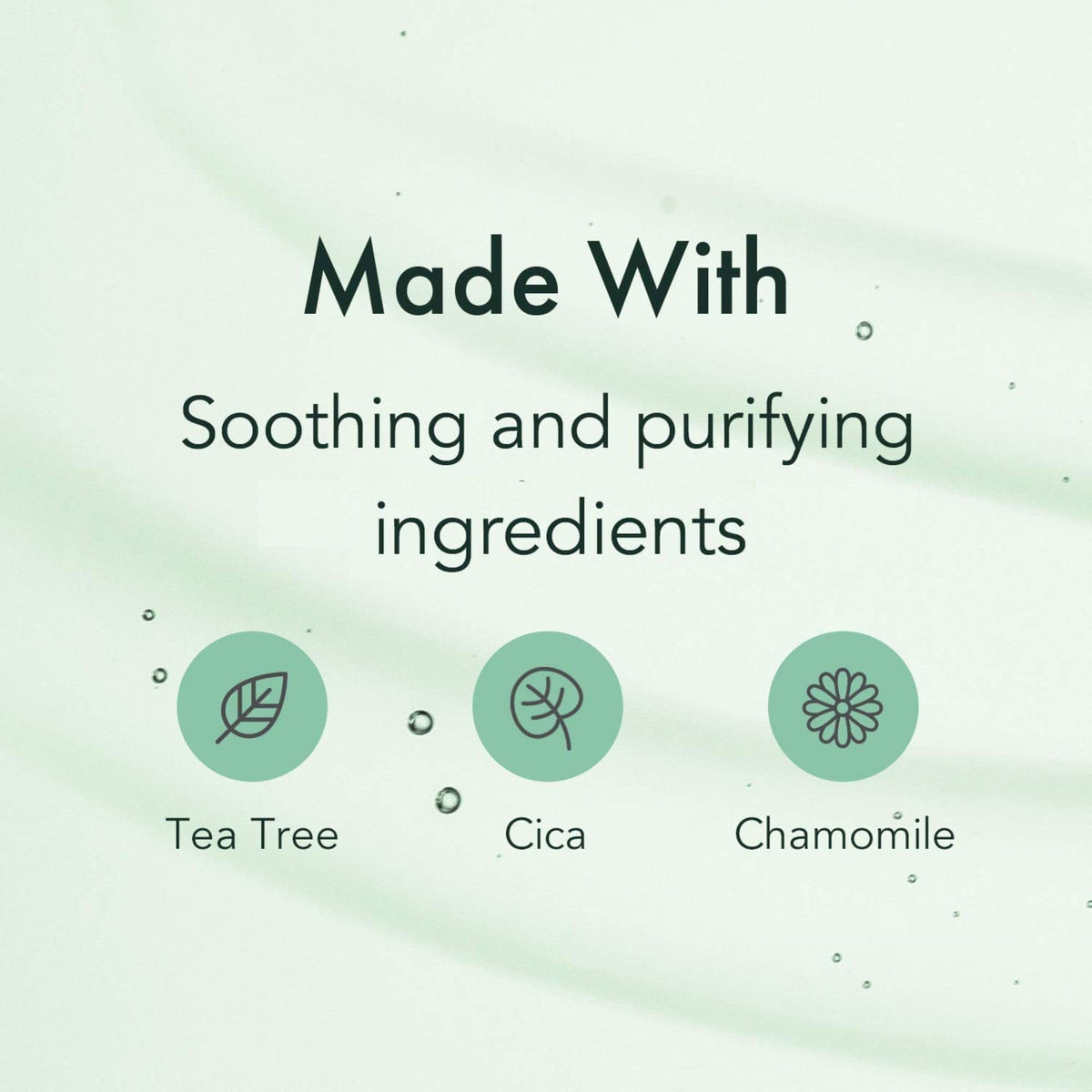 Rael tea tree leaves ingredient shot highlighting purifying benefit