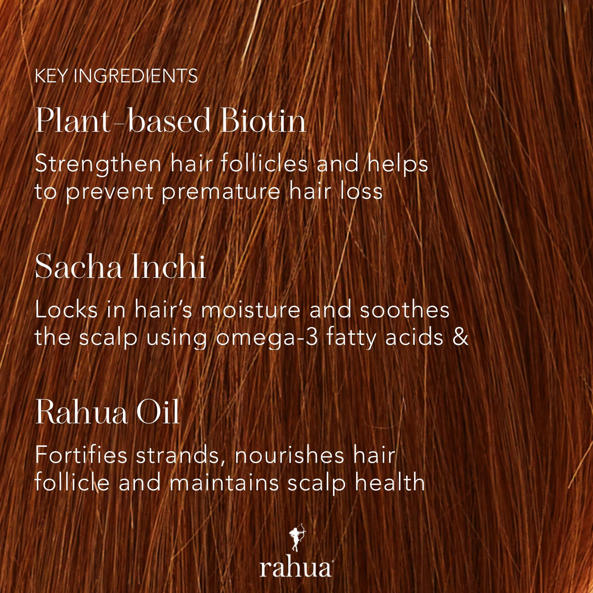 Rahua conditioner on hand being applied to strands for detangling benefit