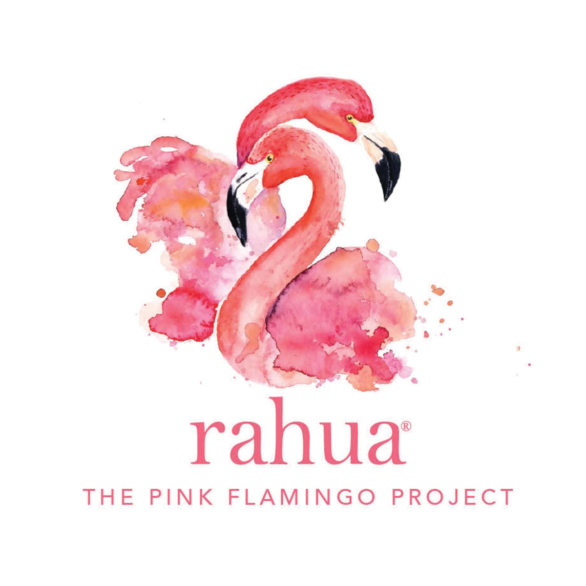 Ingredients display with pink sea salt and tropical botanicals showing Rahua's plant-powered formula