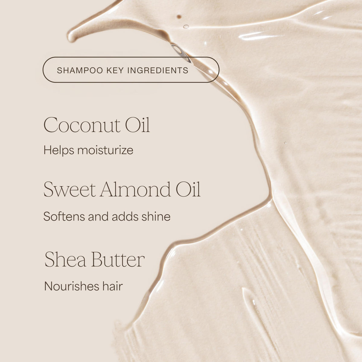 RAW SUGAR bundle held in hand to show actual size and travel-friendly scale