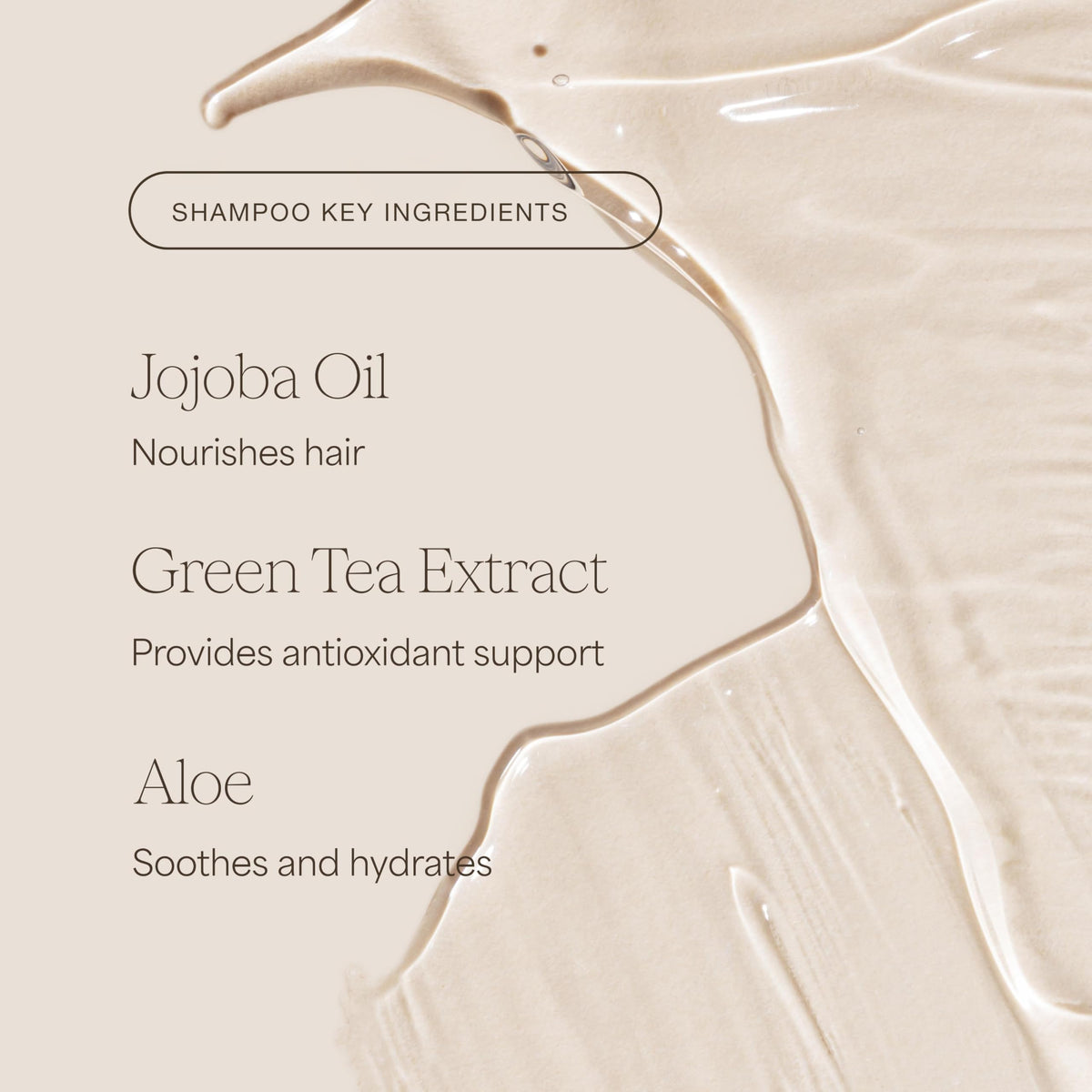 RAW SUGAR ingredients display with jojoba and argan highlighting nourishing botanicals