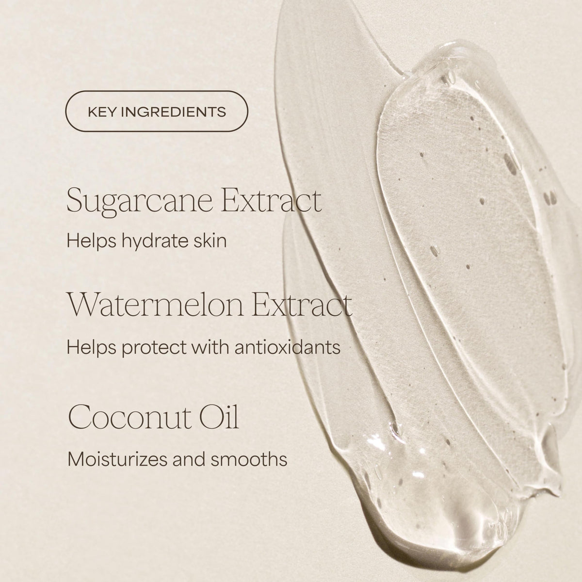 RAW SUGAR ingredients shot with sugarcane and watermelon showing natural extracts