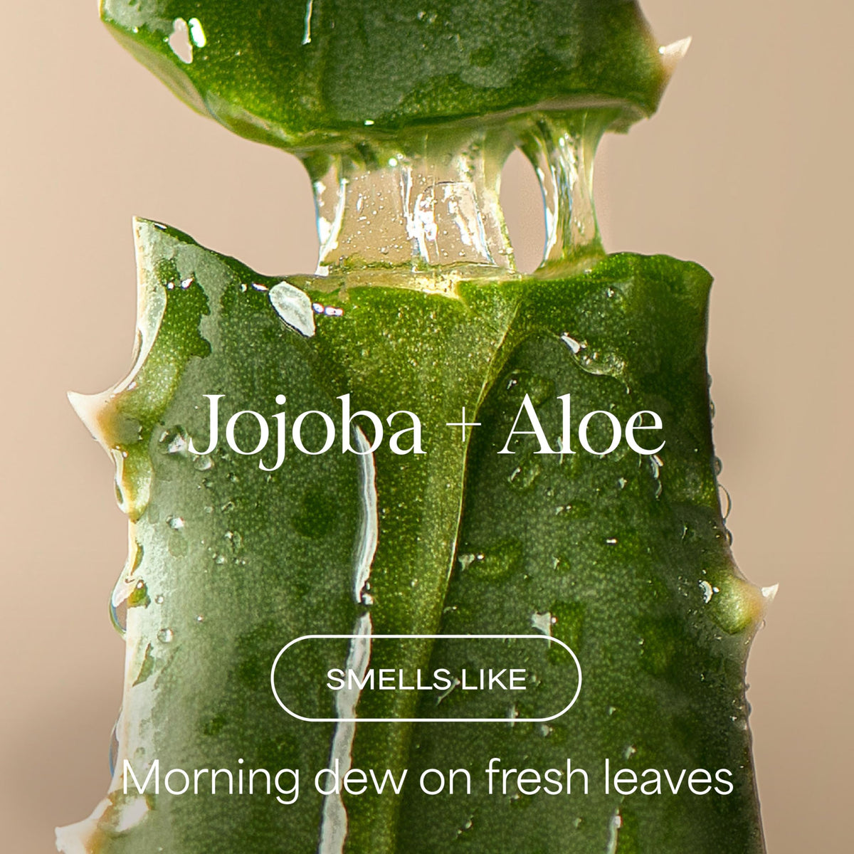 RAW SUGAR shampoo and conditioner labels highlighting key ingredients