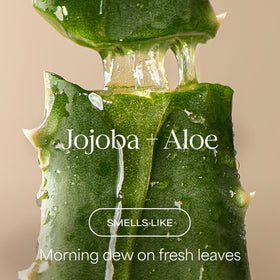 RAW SUGAR shampoo and conditioner labels highlighting key ingredients