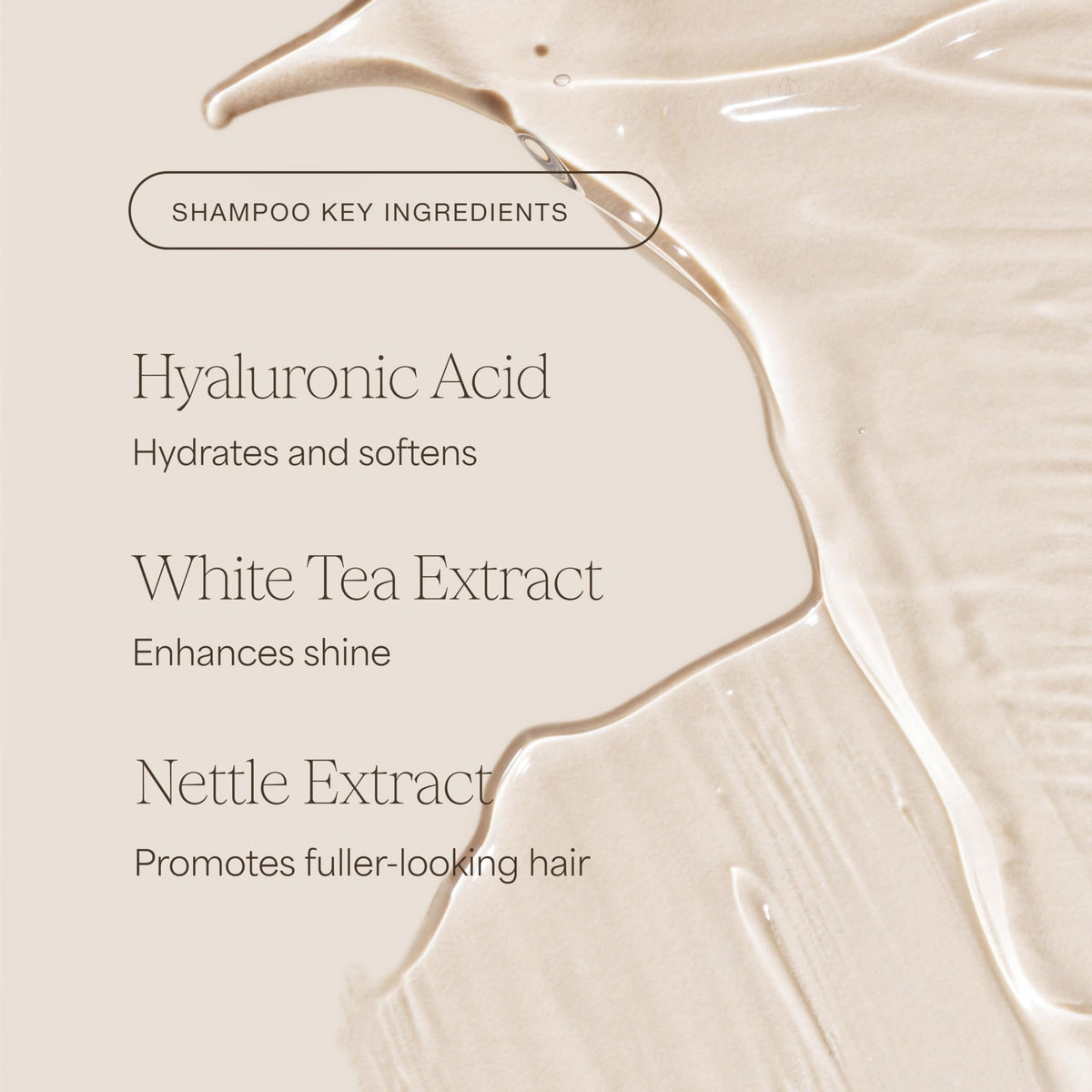RAW SUGAR conditioner cream texture highlighting smoothing ceramides