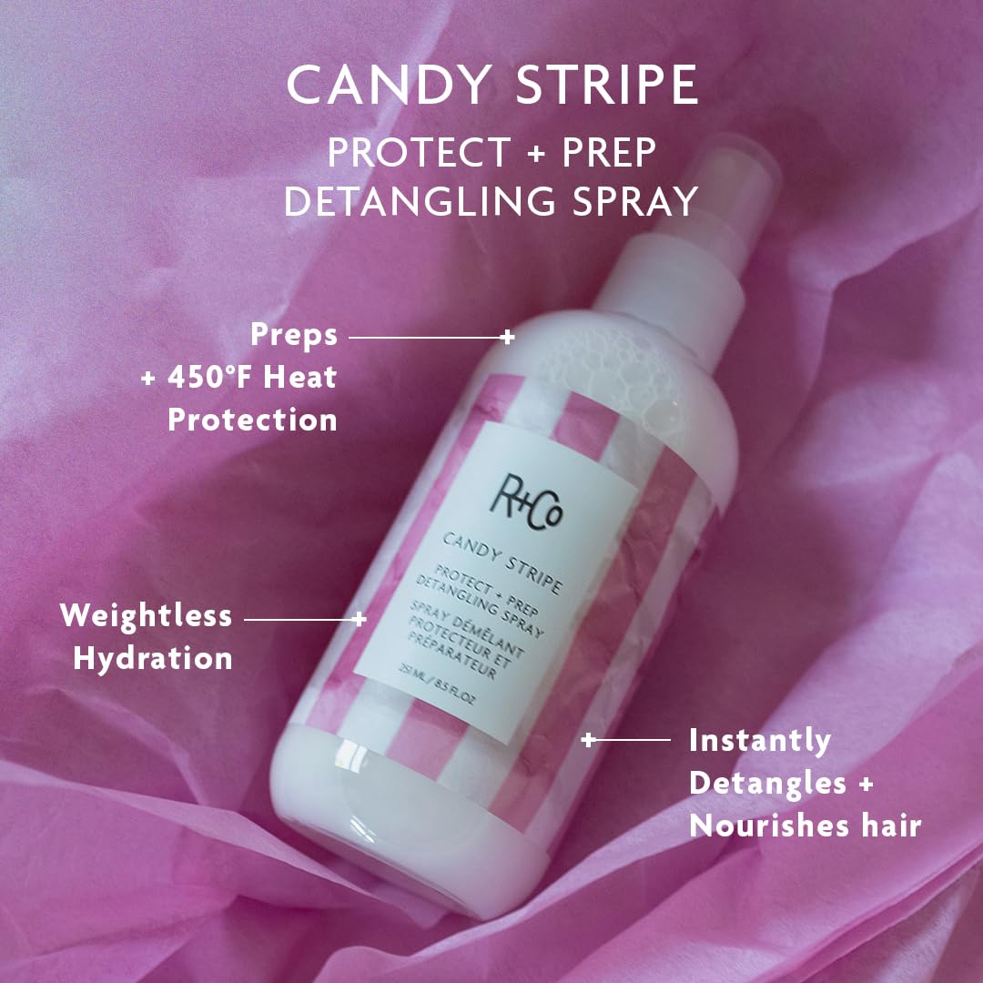 R+Co ingredient close-up matcha berry extracts for nourishment