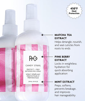 R+Co spray action misting lightweight detangling protection