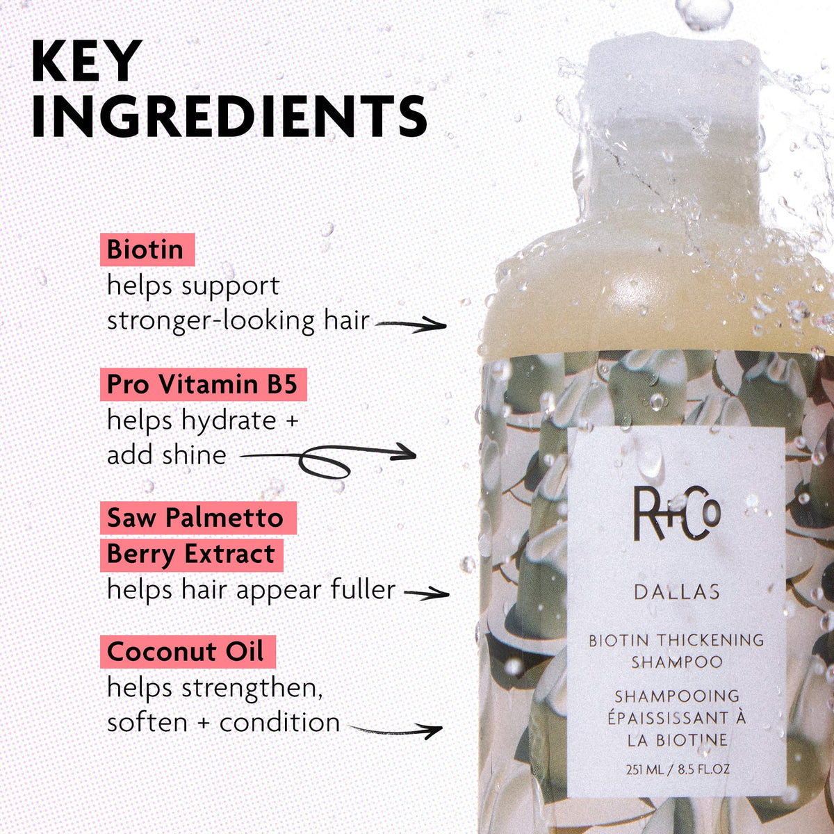R+Co Dallas bottle in hand for scale showing travel-friendly 8.5-ounce size benefit