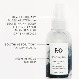 R+Co Spiritualized root refresh demo illustrating oil absorption and lifted volume benefit