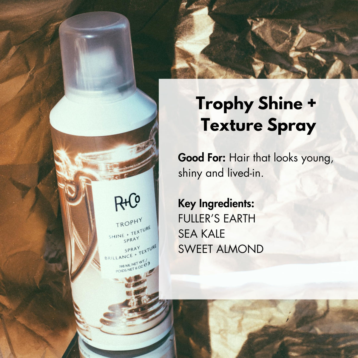 R+Co spray action mist dispersing for even lightweight texture