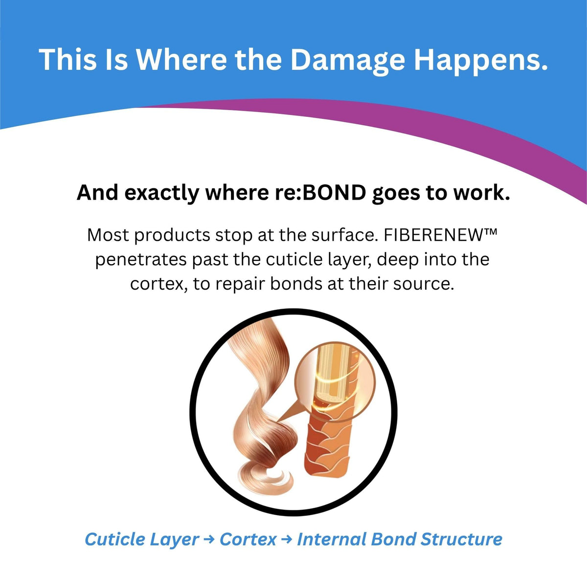 reBOND close-up of formula texture highlighting Fiberenew bond technology for visible repair
