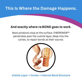 reBOND close-up of formula texture highlighting Fiberenew bond technology for visible repair