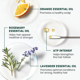 René Furterer guarana and rosemary ingredients close-up, highlights energizing botanical benefit