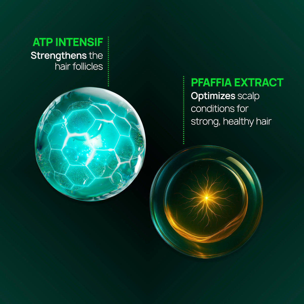 René Furterer Pfaffia root ingredient display illustrating plant-based strengthening benefit