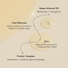 REVERIE sweet almond oil and oat protein close-up highlighting nourishment