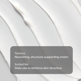 Revision Skincare D·E·J Face Cream® key actives flatlay featuring antioxidants and botanicals