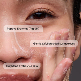 Papaya fruit extract ingredient image with Revision Skincare, shows natural enzyme source benefit