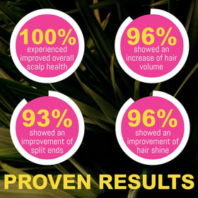 rida hair research institute lifestyle wet-hair routine illustrating easy use