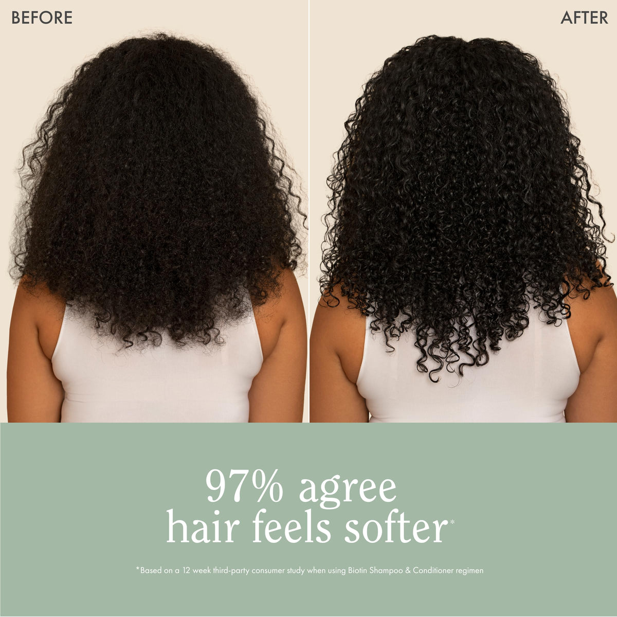 Rizos Curls product beside coconut and aloe showcasing natural ingredients