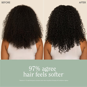Rizos Curls product beside coconut and aloe showcasing natural ingredients