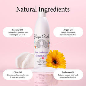 Rizos Curls ingredient display with shea olive sunflower oils for nourishment