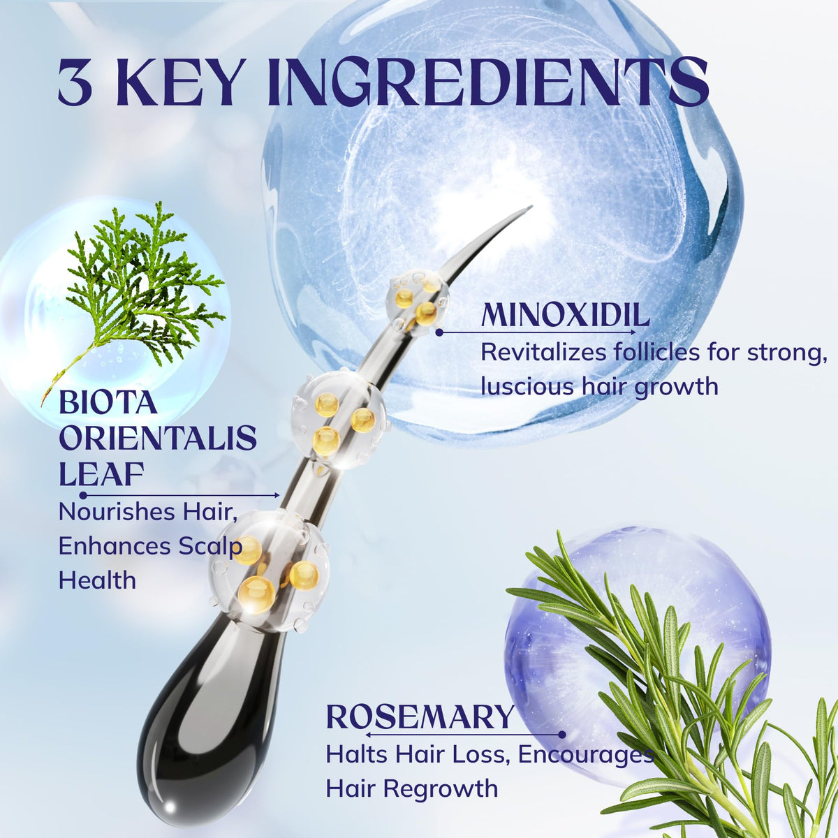 RootStim rosemary extract close-up emphasizing natural ingredient benefits