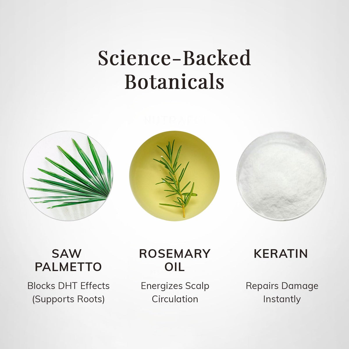 RootStim ingredients display rosemary saw palmetto keratin highlighting potency