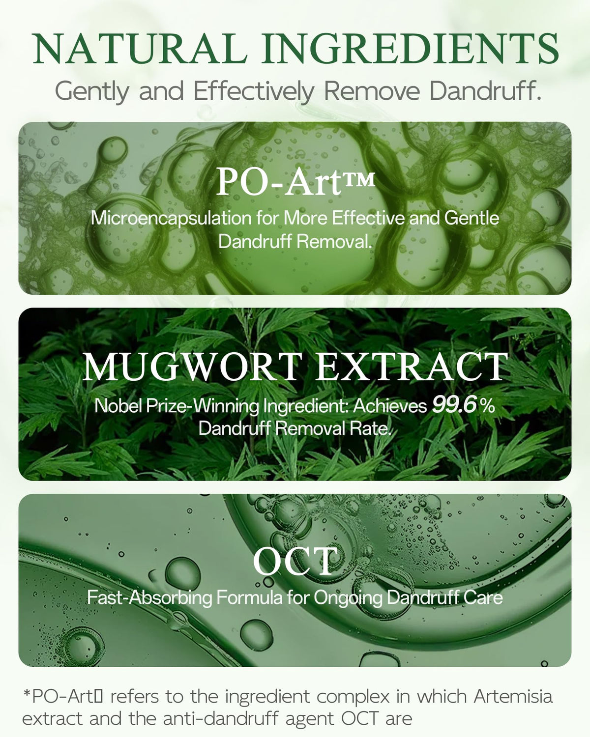 Ropink mugwort extract visual emphasizing botanical soothing benefit for scalp