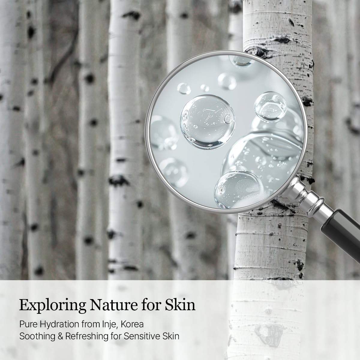 ROUND LAB birch sap ingredient image suggesting natural hydration support