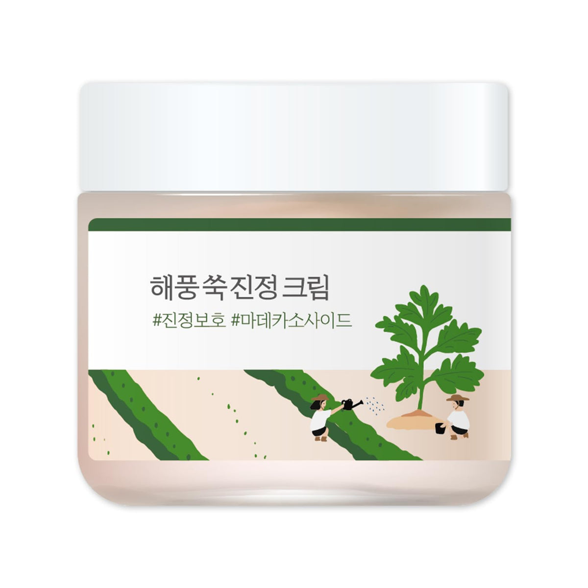 ROUND LAB front packaging of Mugwort Calming Cream showing jar and label for easy identification