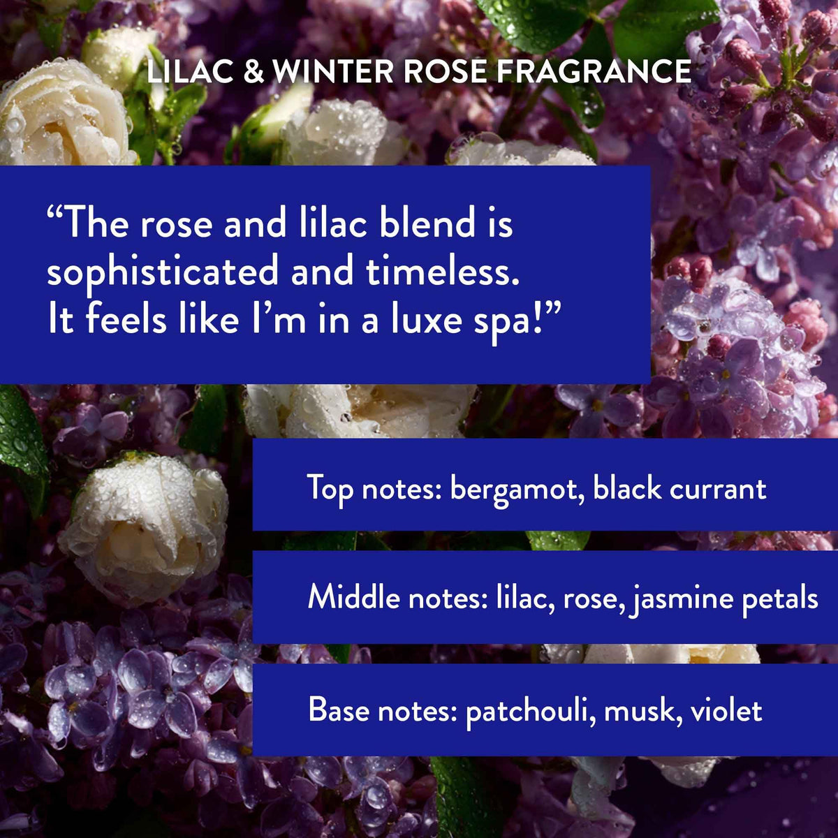 Routine Wellness label close-up highlighting biotin and DHT blockers