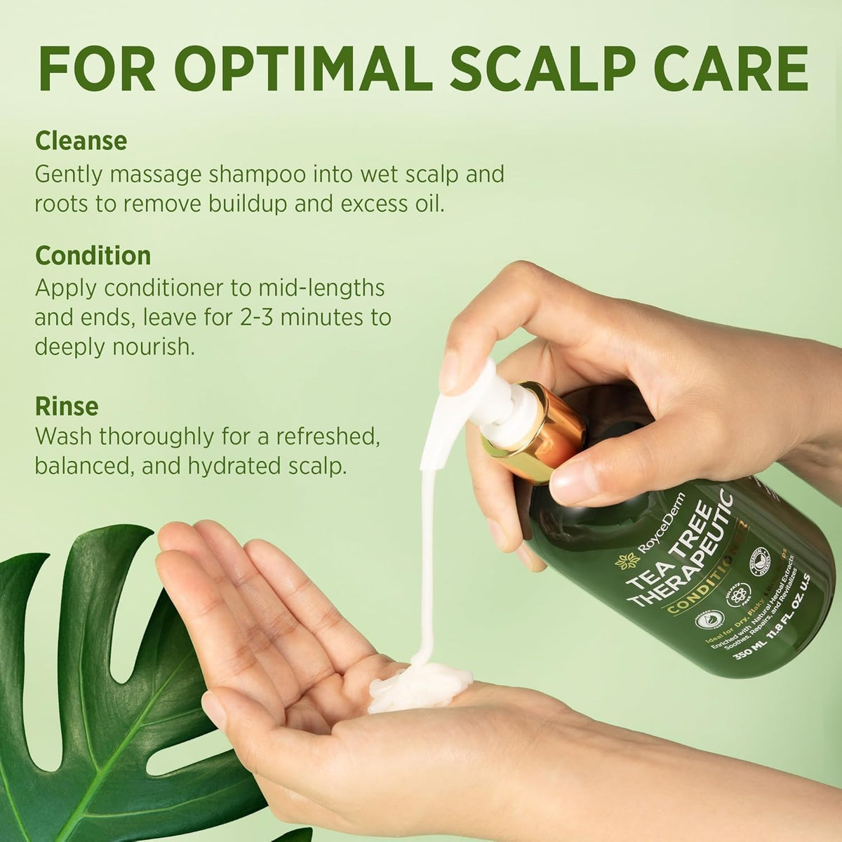 Roycederm tea tree and salicylic acid display highlighting active ingredients for scalp balance