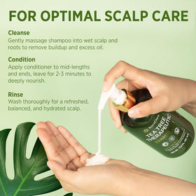 Roycederm tea tree and salicylic acid display highlighting active ingredients for scalp balance
