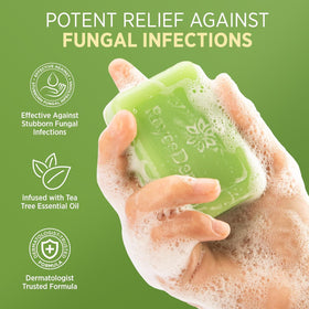 Roycederm bar soap close-up texture highlighting gentle lather and tea tree scent freshness