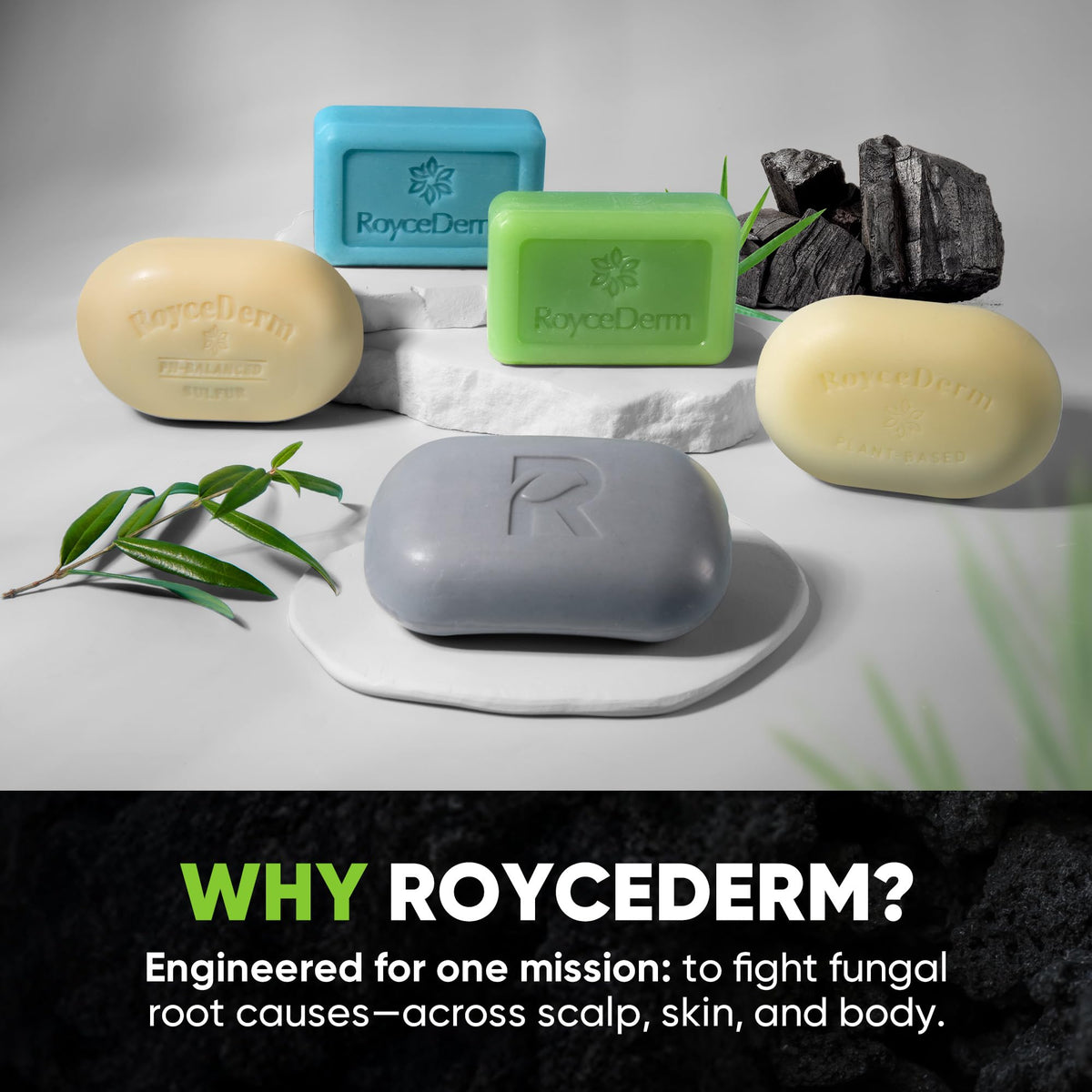 Roycederm rich foaming lather demonstrating gentle yet thorough clean