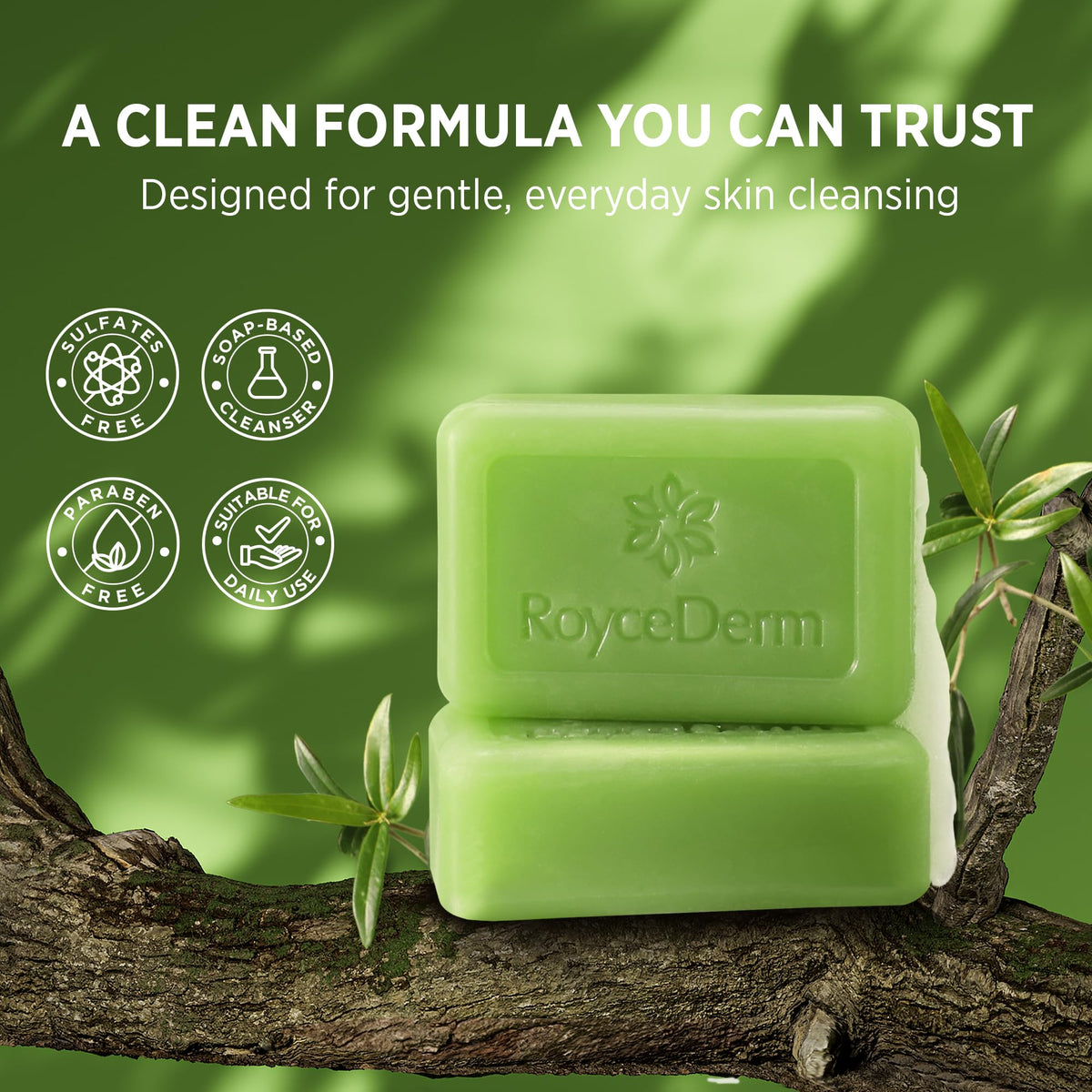 Roycederm duo in gift-ready arrangement for easy presentable gifting